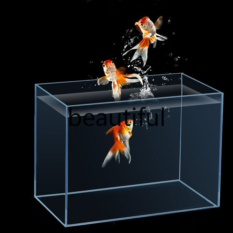 Planted Aquarium For Goldfish - 金京超白ガラス水槽 水草金魚亀両生類ガラス水槽 アクアリウム生態水槽