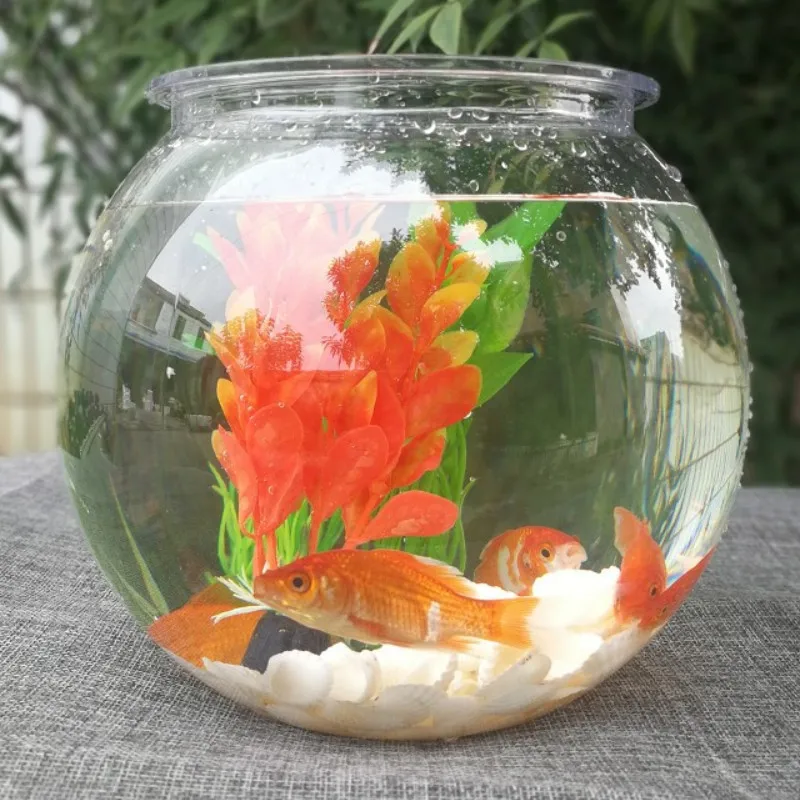 Planted Aquarium For Goldfish - 透明なプラスチック製の水族館の緑の植木鉢,金色の魚のボウル,丸いカメのタンク,アクリル