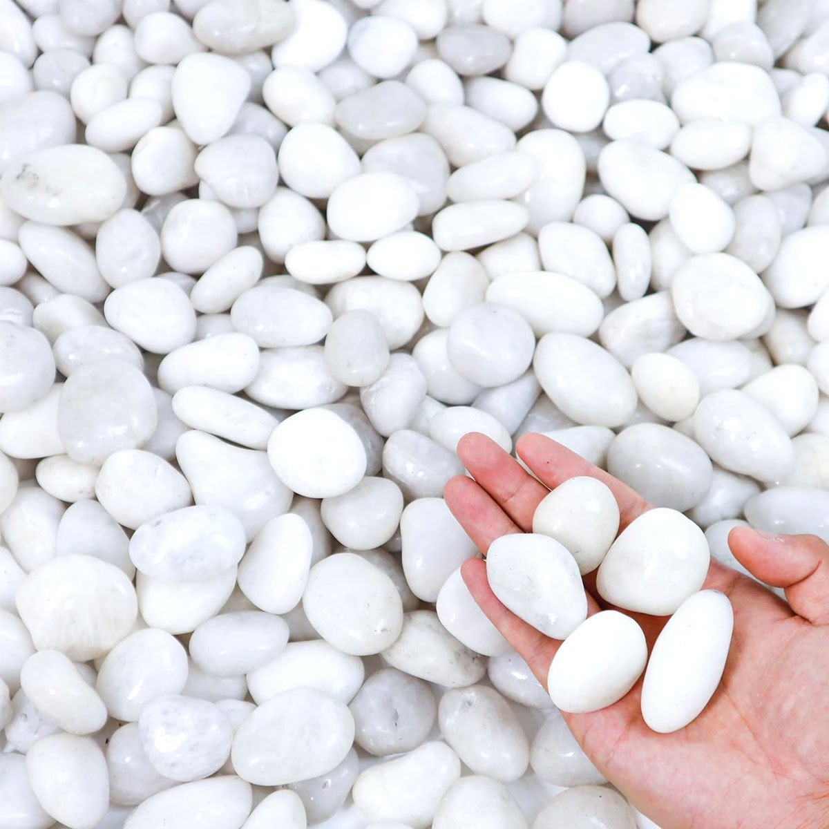 Aquarium Sand White - 400g 白色磨き天然川石 2-3cm - 植木鉢、水槽、庭園造園用装飾石 ZSY