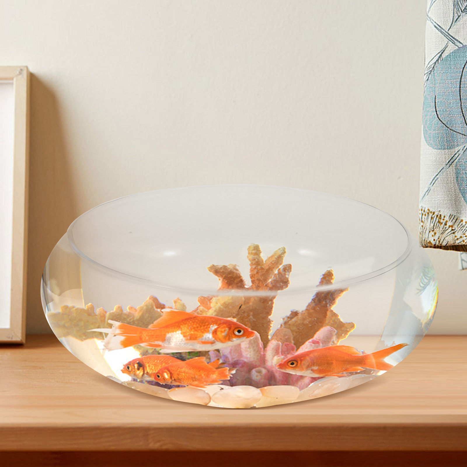 Planted Aquarium For Goldfish - プレミアム透明ガラス製小型水槽、金魚、水草、水耕栽培、花用容器、丸型