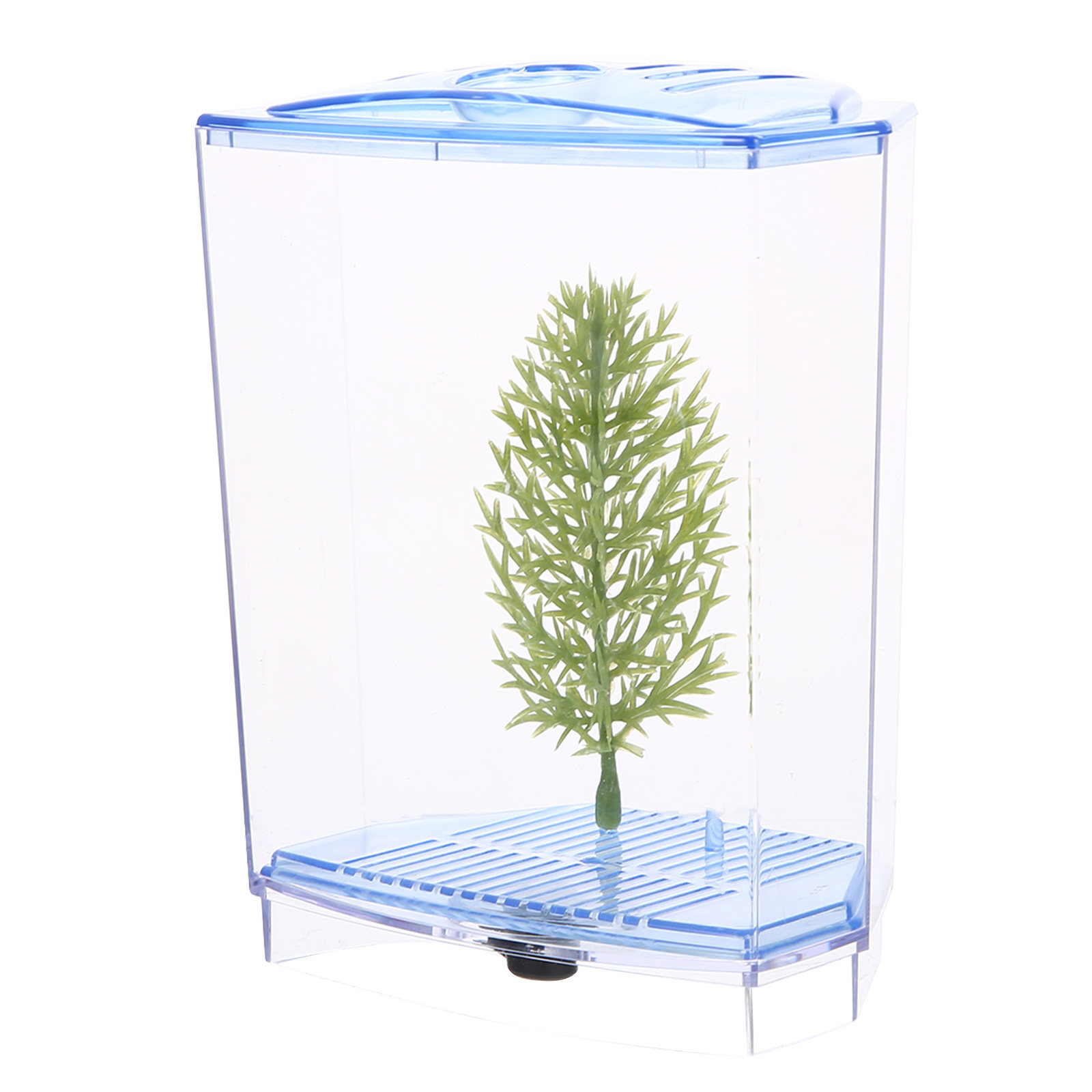 Planted Aquarium For Goldfish - ミニ水槽 透明プラスチック製 アクアリウム デスクトップ 自宅 オフィス用