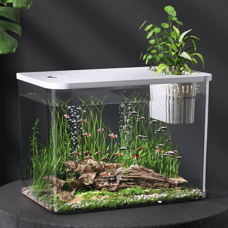Planted Aquarium For Goldfish - 蓋付きプラスチック製水槽、透明ミニデスクトップ水槽、金魚、カメ、小型水草入りテーブルデコレーション、家庭用デスク、子供へのプレゼント