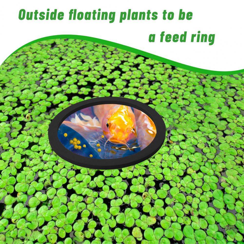 Planted Aquarium For Goldfish - Eva フォームフローティングリング水槽水族館フローティングプラントリングセット水槽池用軽量 Eva フォーム金魚用