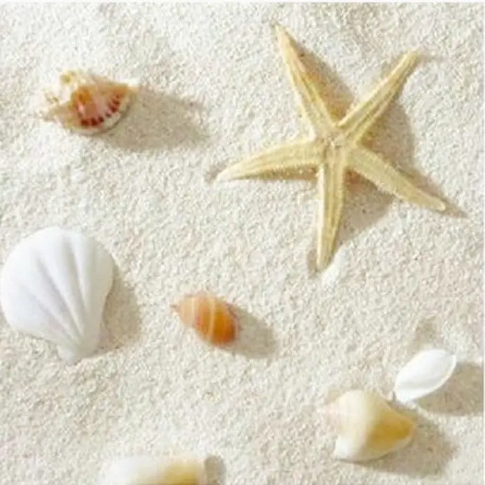 Aquarium Sand White - ネイチャーレ フィリピン産サンドコーラル造園用ホワイトシェル背景 水槽飾り 魚タンク装飾 水槽アクセサリー
