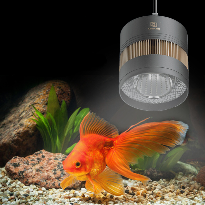 Planted Aquarium For Goldfish - MAYIN水族館フルスペクトルLEDダウンライト照明ランプ金魚ランプ特殊藻類増色水草マジックランプ