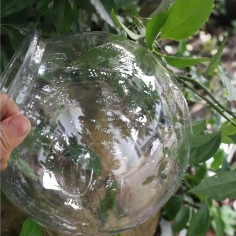 透明なプラスチック製の水族館の緑の植木鉢,金色の魚のボウル, - Planted Aquarium For Goldfish のレビューと価格
