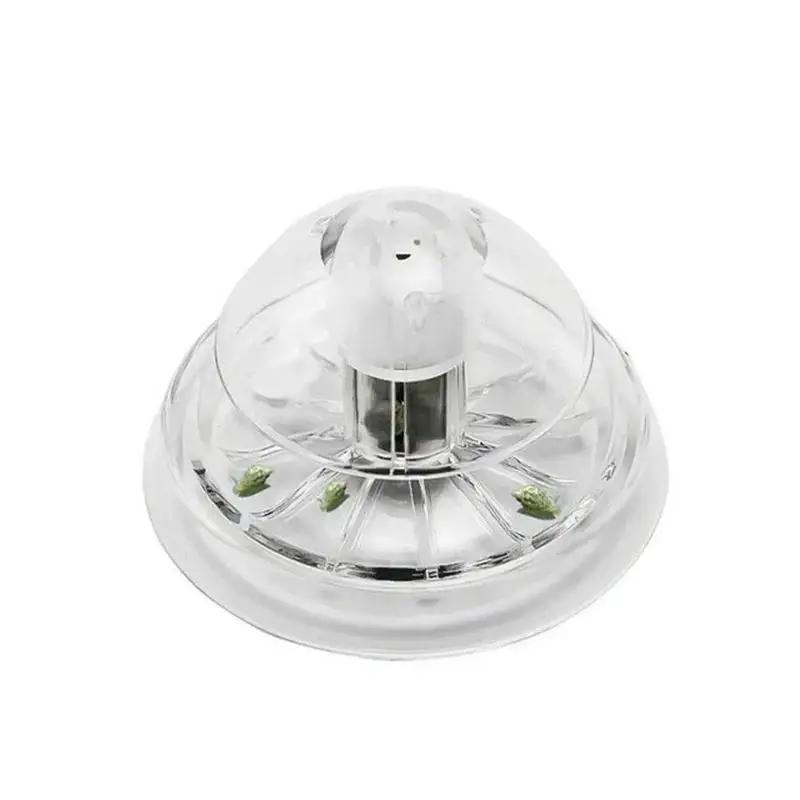 2026年新発売 6/8CM 透明プラスチック製カタツムリ捕 - Aquarium Plant のレビューと価格