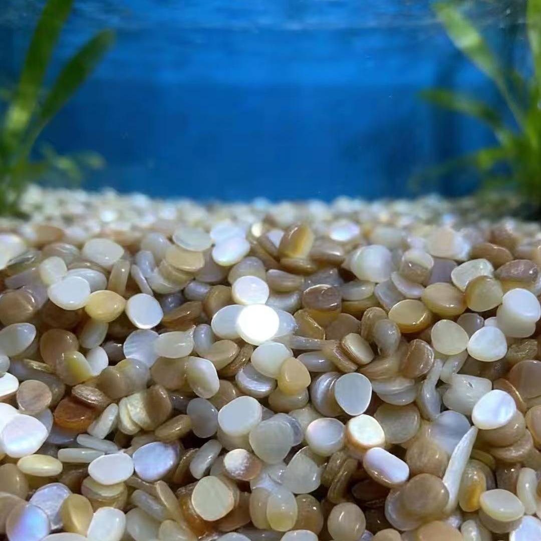 50個 4-7mm 穴なし 天然ベージュホワイト マザーオブ - Aquarium Sand White のレビューと価格