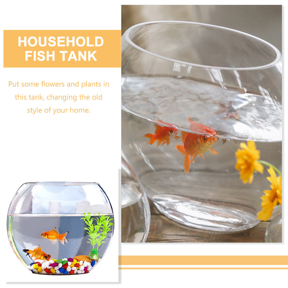 エレガントなガラス製水槽、クリスタルのような透明なデザイン、 - Planted Aquarium For Goldfish のレビューと価格