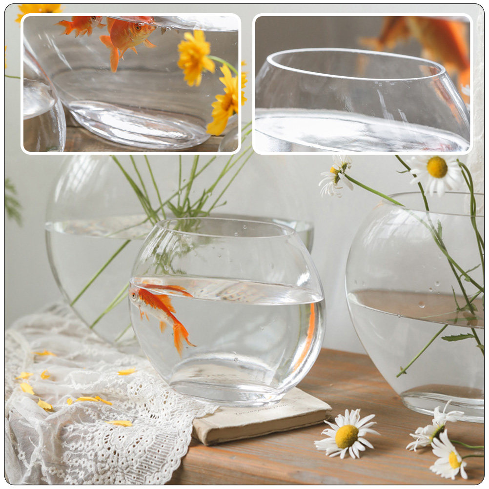 エレガントなガラス製水槽、クリスタルのような透明なデザイン、 - Planted Aquarium For Goldfish のレビューと価格