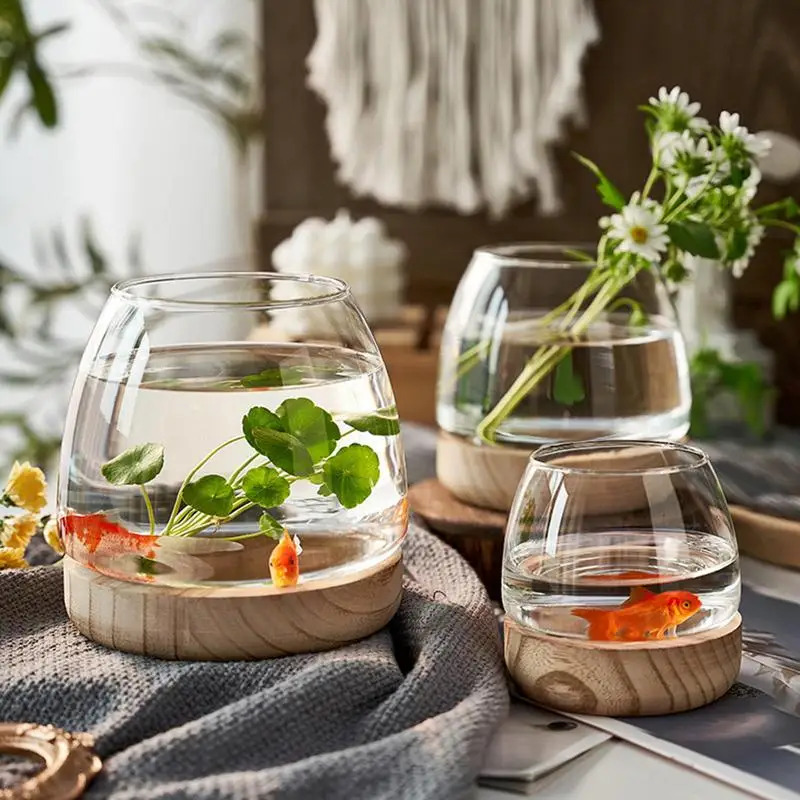 装飾的な丸いガラス水槽、木製台座付き - 金魚や水耕栽培植物 - Planted Aquarium For Goldfish のレビューと価格