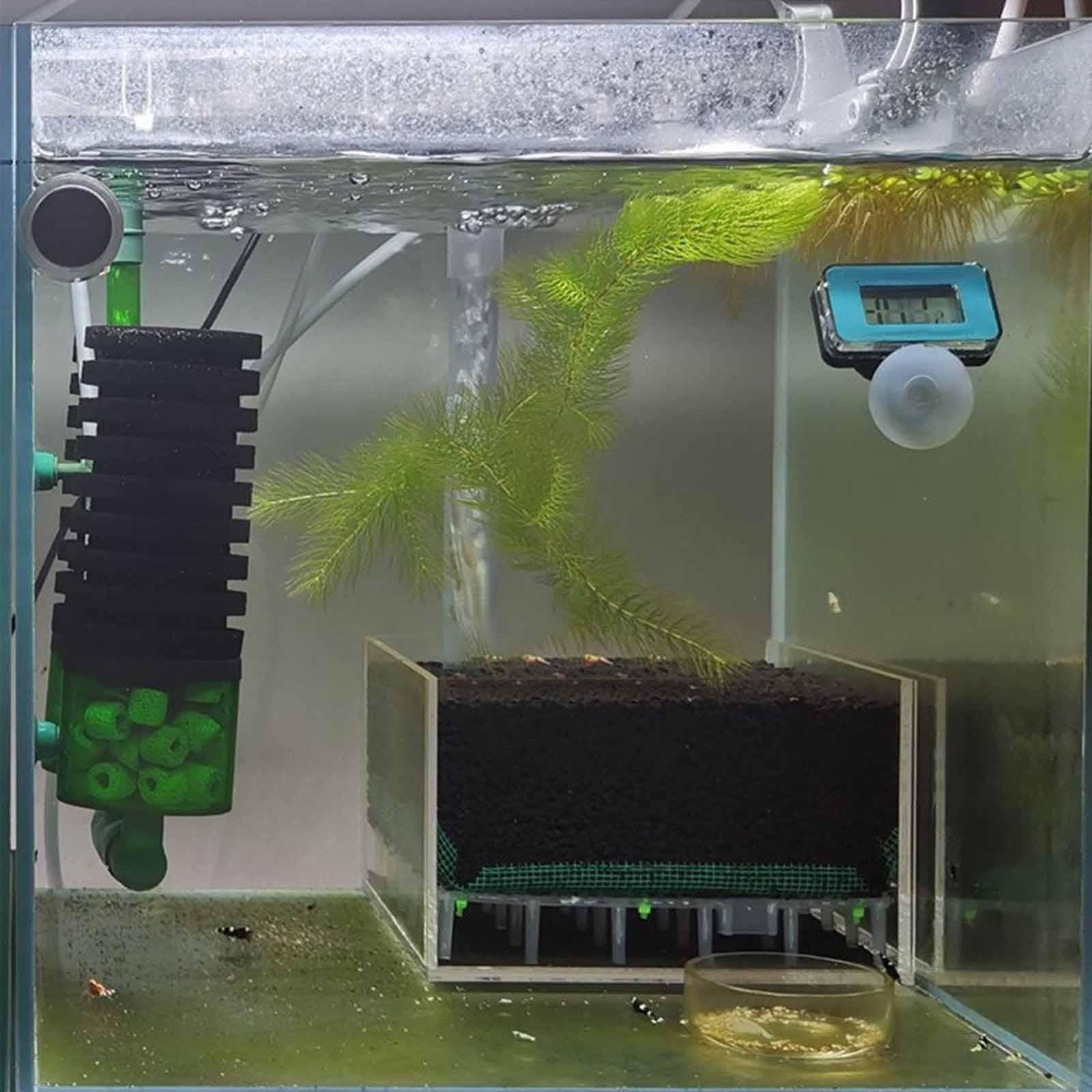 透明アクリル製水槽フィルターボックス、底砂用ミニスクエア、エ - Planted Aquarium Undergravel Filter のレビューと価格
