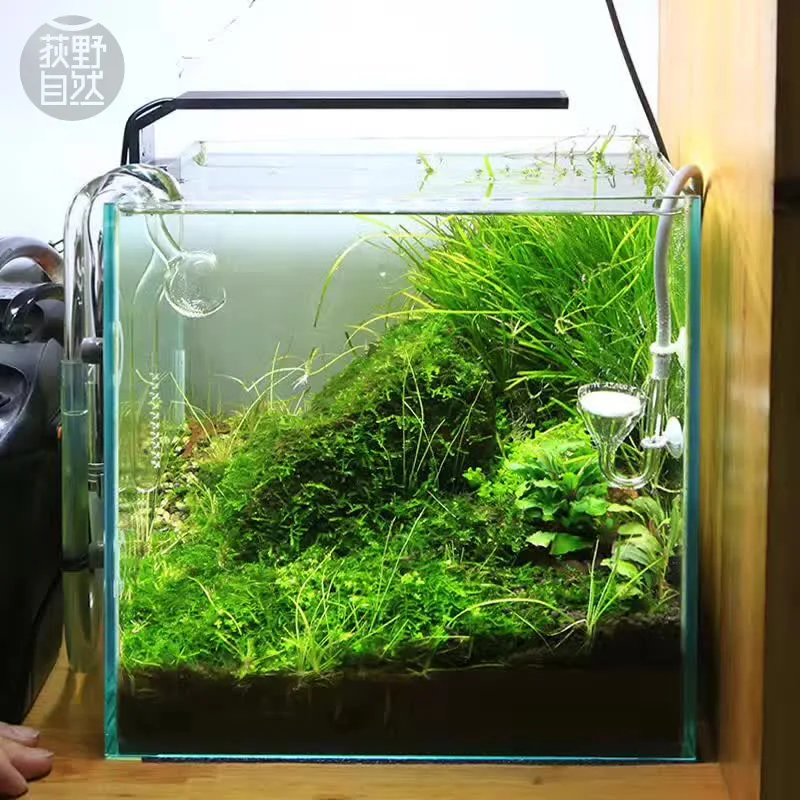 Chihiros C シリーズ ADA スタイル植物成長 L - Aquarium Plant Ornament のレビューと価格