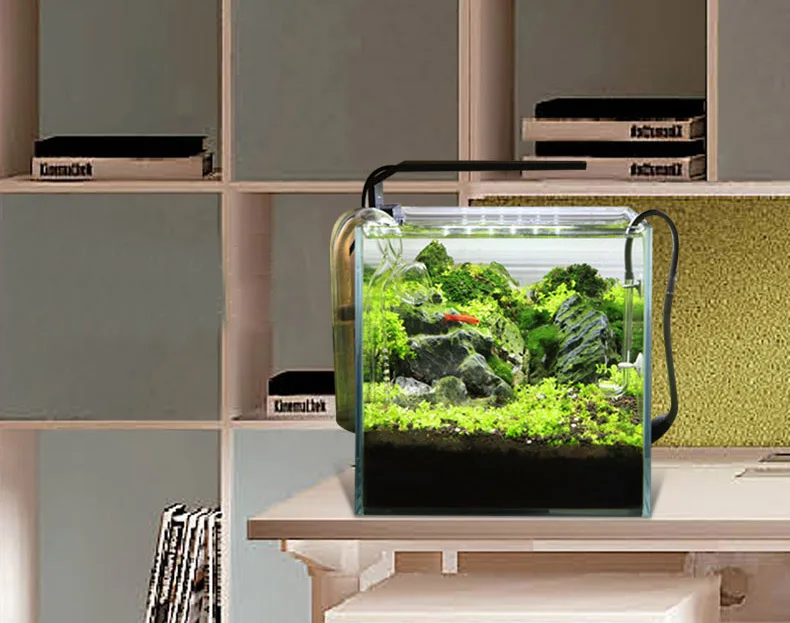 Chihiros C シリーズ ADA スタイル植物成長 L - Aquarium Plant Ornament のレビューと価格