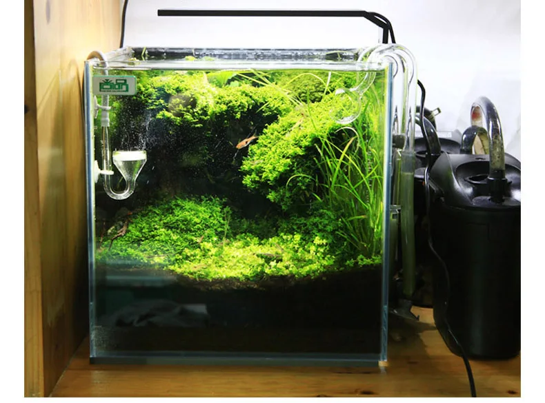 Chihiros C シリーズ ADA スタイル植物成長 L - Aquarium Plant Ornament のレビューと価格