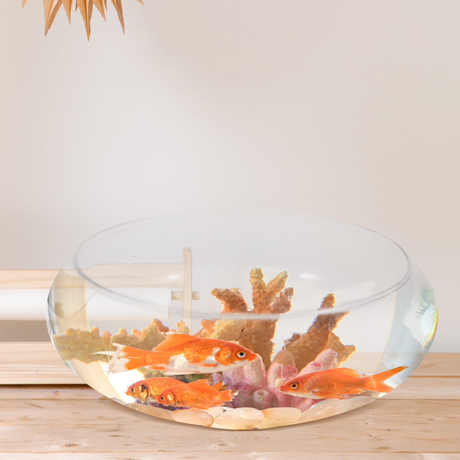 プレミアム透明ガラス製小型水槽、金魚、水草、水耕栽培、花用容 - Planted Aquarium For Goldfish のレビューと価格