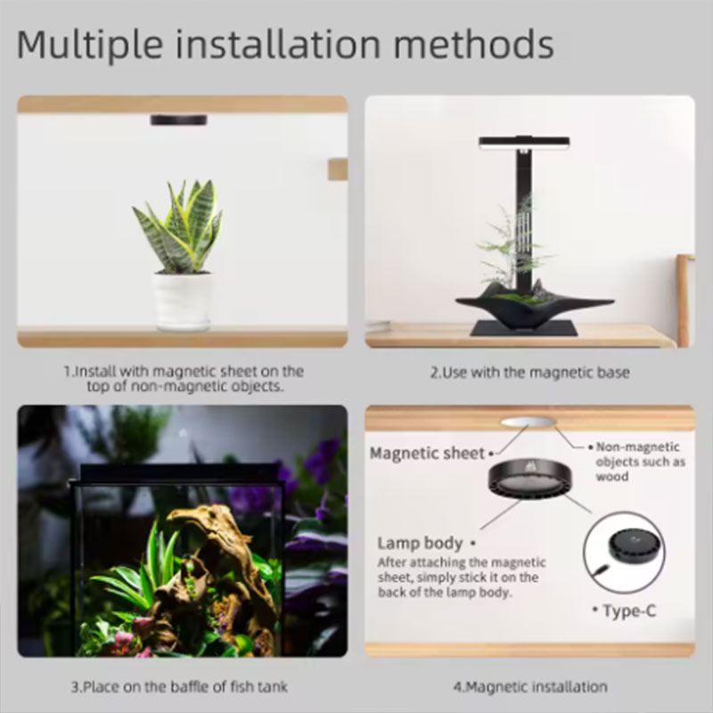 WEEK AQUA Mag Pro Mag Max Nano - Aquarium Plant Ornament のレビューと価格
