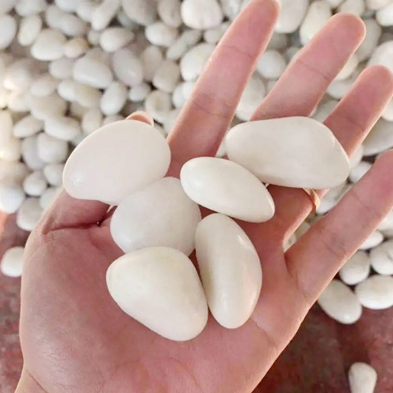 ナチュラルホワイトポリッシュリバーロック 200g-800g - Aquarium Sand White のレビューと価格