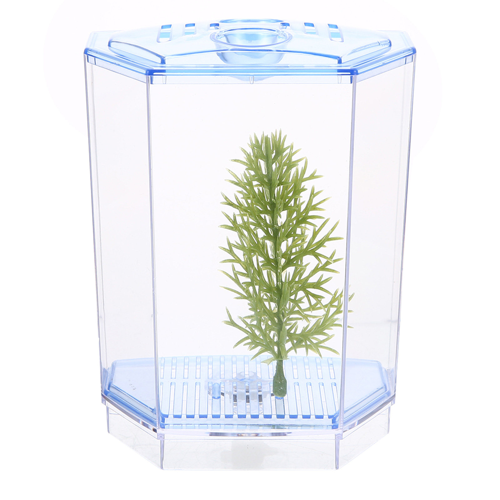 ミニ水槽 透明プラスチック製 アクアリウム デスクトップ 自 - Planted Aquarium For Goldfish のレビューと価格