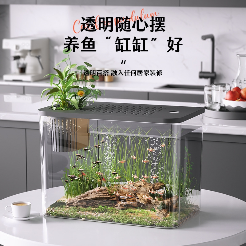蓋付きプラスチック製水槽、透明ミニデスクトップ水槽、金魚、カ - Planted Aquarium For Goldfish のレビューと価格