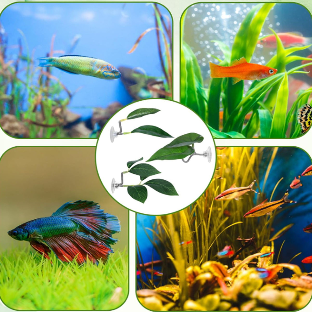 1 PC ベタフィッシュハンモック ソフト水槽装飾 プラスチ - Aquarium Plant Ornament のレビューと価格
