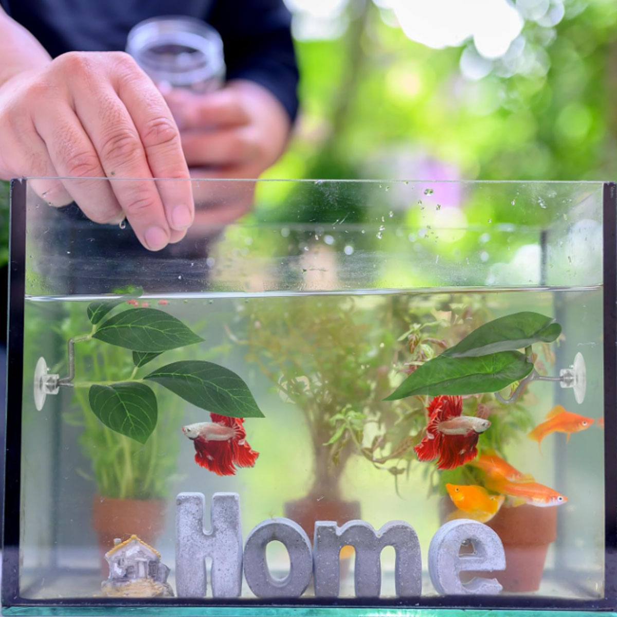 1 PC ベタフィッシュハンモック ソフト水槽装飾 プラスチ - Aquarium Plant Ornament のレビューと価格