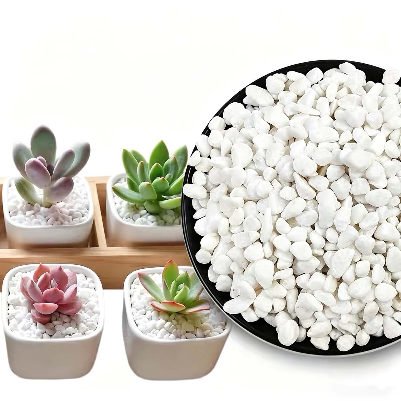 100/200gの白い装飾石 - 水槽、ガーデニング、DIY - Aquarium Sand White のレビューと価格