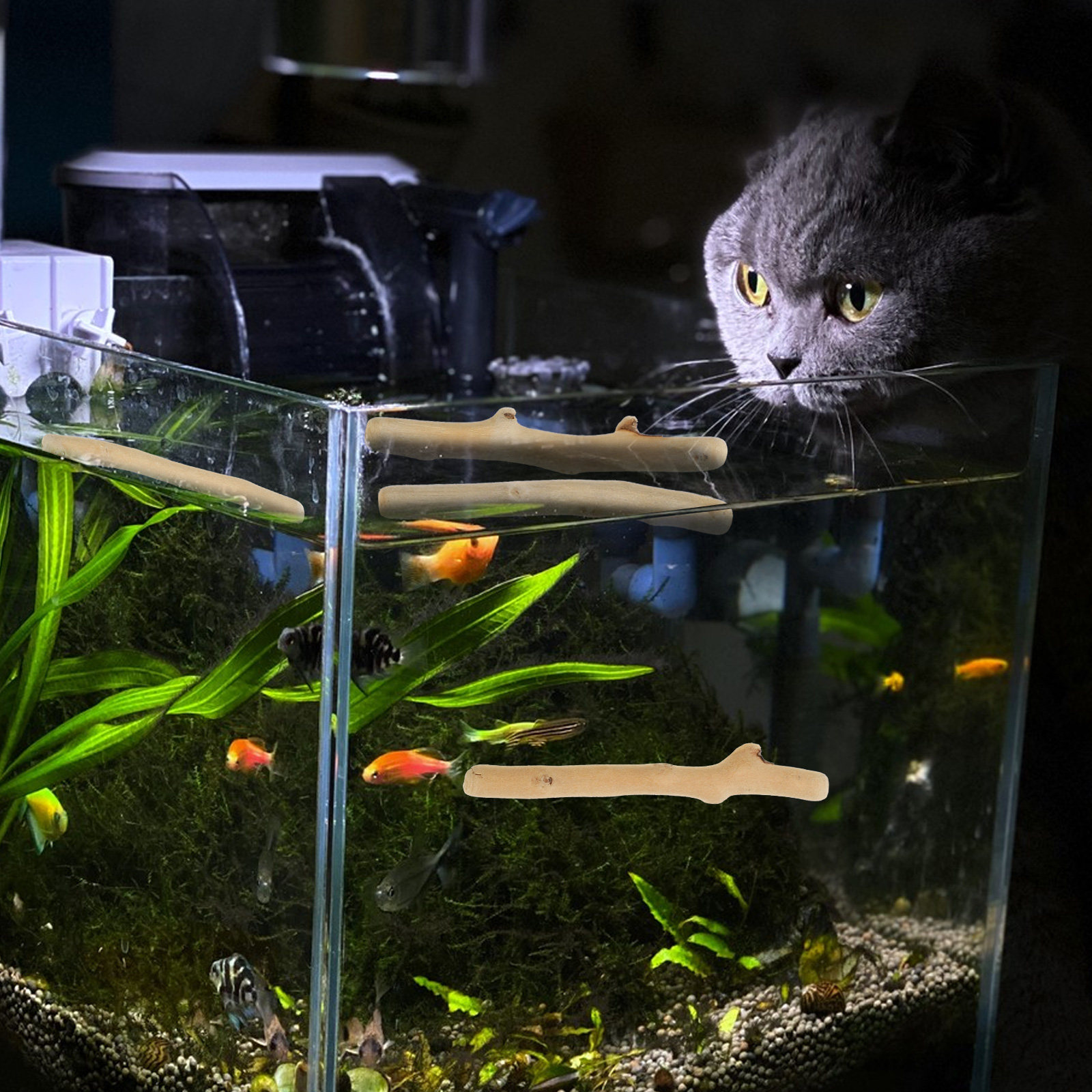 1セットの流木装飾、天然の短い流木、水槽用、低PH、バイオフ - Planted Aquarium Ph のレビューと価格