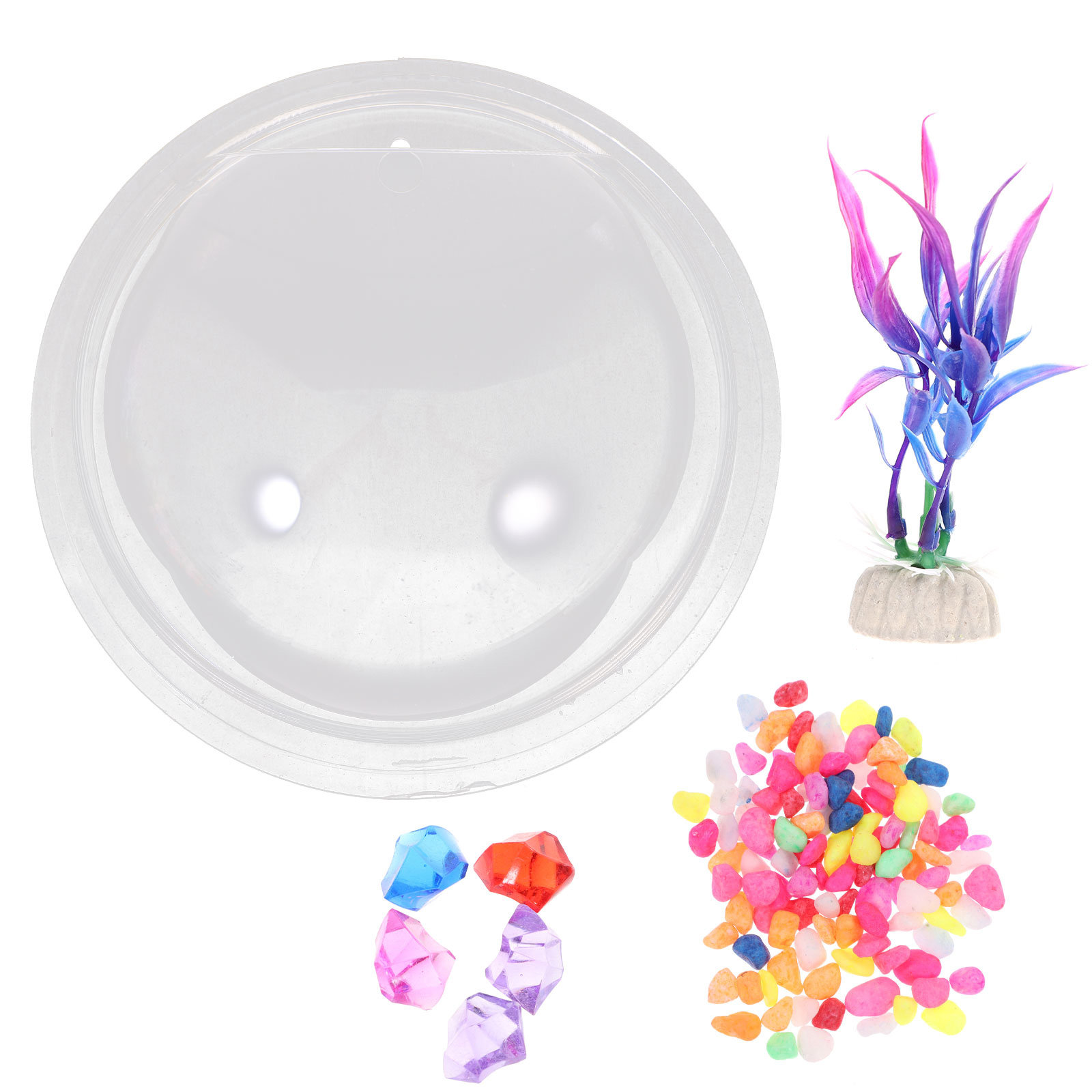 壁掛け式アクリル製水槽 透明 省スペース設計 ベタ、金魚、水 - Planted Aquarium For Goldfish のレビューと価格