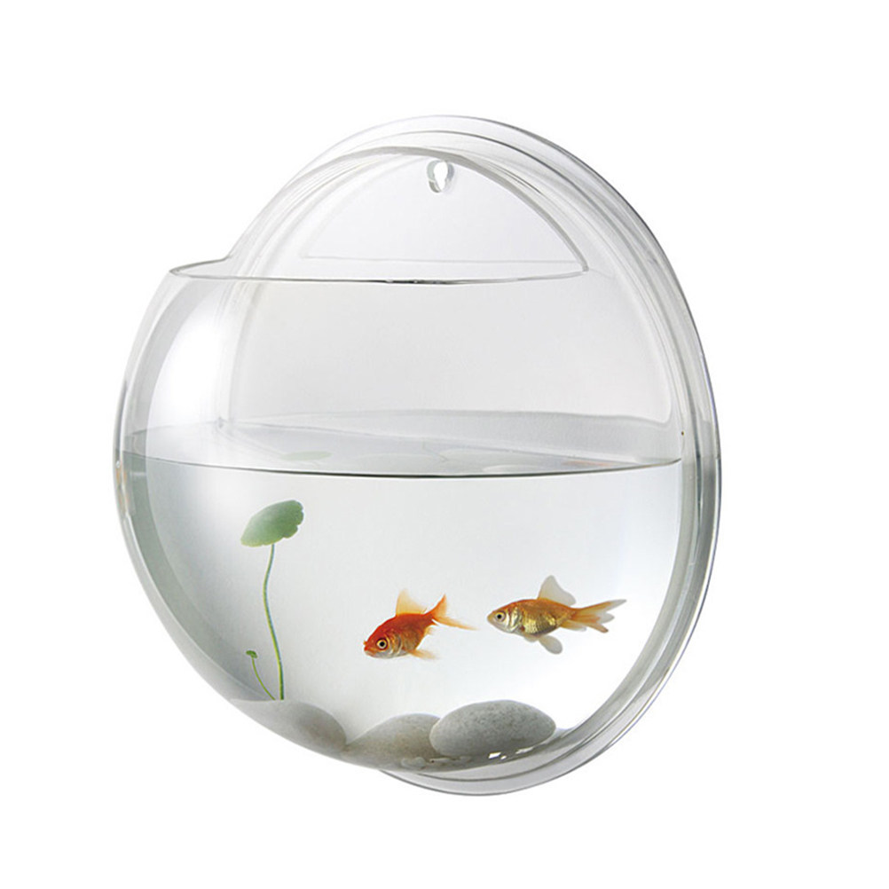 壁掛け式アクリル製水槽 透明 省スペース設計 ベタ、金魚、水 - Planted Aquarium For Goldfish のレビューと価格