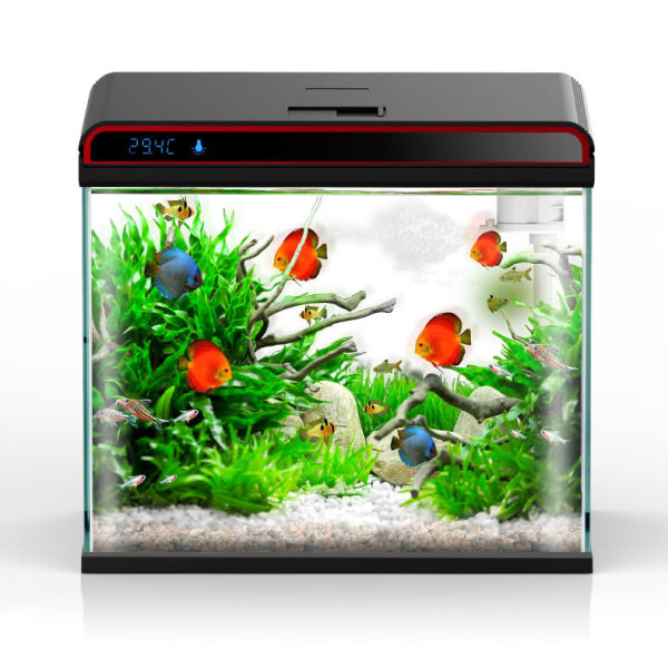 サンサン 4-in-1 水槽ウォーターコンディショナー -  - Planted Aquarium Ph のレビューと価格
