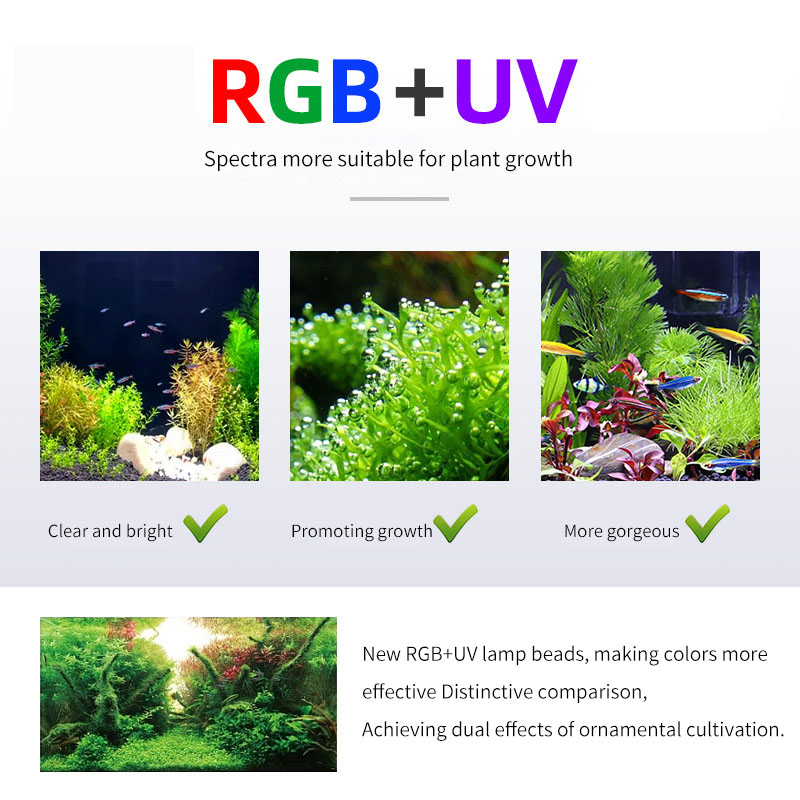 WEEK AQUA Pシリーズ水槽用フルスペクトル植物育成ラ - Aquarium Plant On Top のレビューと価格